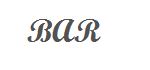 portfolio_text